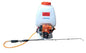 Power Sprayer 25 Liter Engine 4 Stroke Buffalo